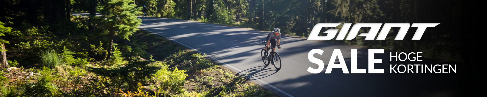 Giant%20Sale_HEADER.png